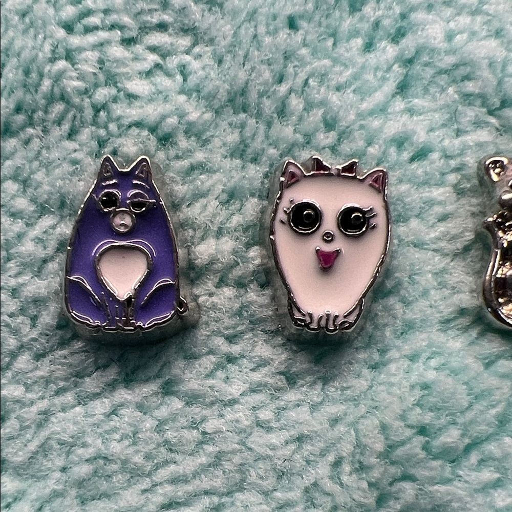 Floating Locket Charms - Picture 2 of 4